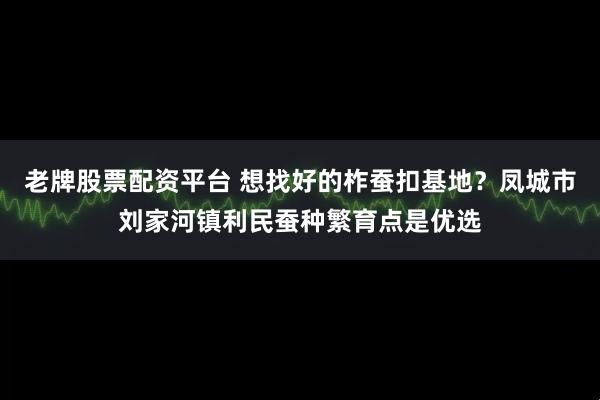 老牌股票配资平台 想找好的柞蚕扣基地？凤城市刘家河镇利民蚕种繁育点是优选