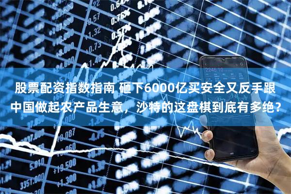 股票配资指数指南 砸下6000亿买安全又反手跟中国做起农产品生意，沙特的这盘棋到底有多绝？