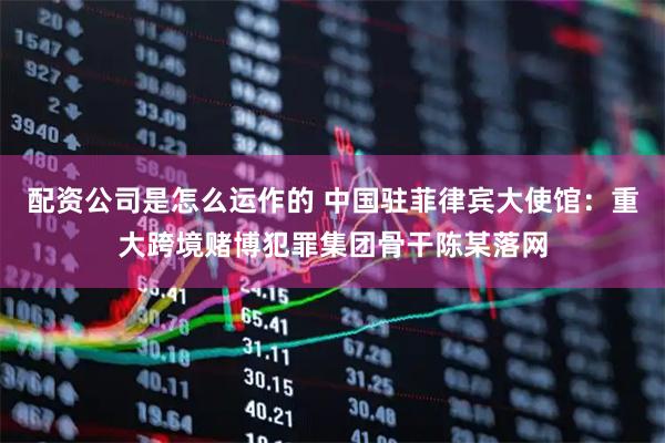 配资公司是怎么运作的 中国驻菲律宾大使馆：重大跨境赌博犯罪集团骨干陈某落网