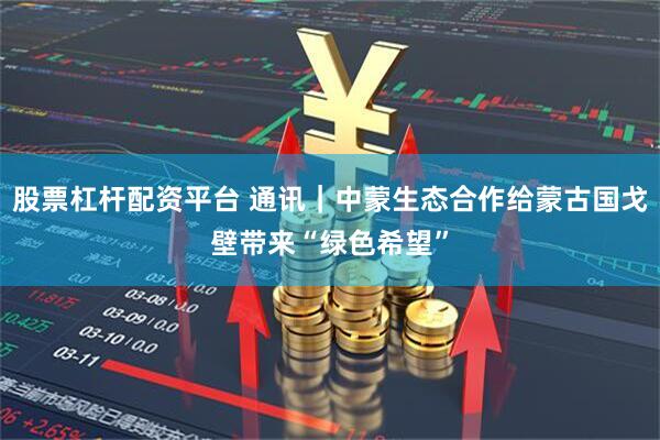 股票杠杆配资平台 通讯｜中蒙生态合作给蒙古国戈壁带来“绿色希望”